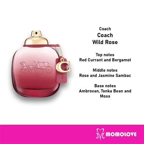 coach wild rose perfume notes.